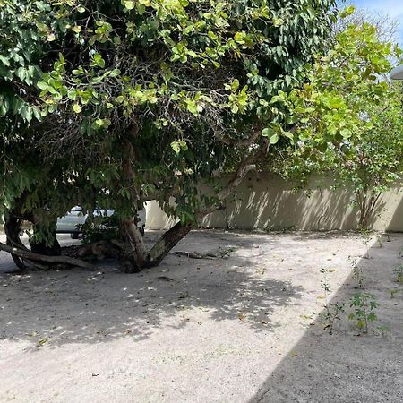 Recanto Das Aroeiras Alcobaça المظهر الخارجي الصورة