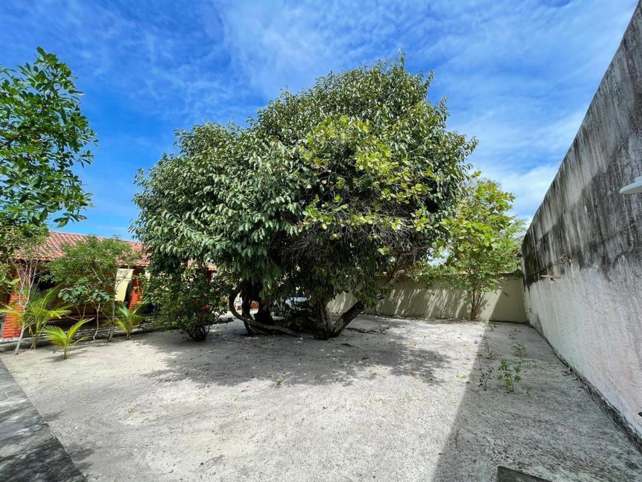 Recanto Das Aroeiras Alcobaça المظهر الخارجي الصورة